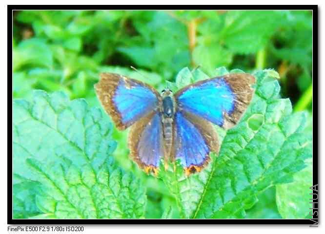 ������ͣ���ȶ������Ҳ���Խ�