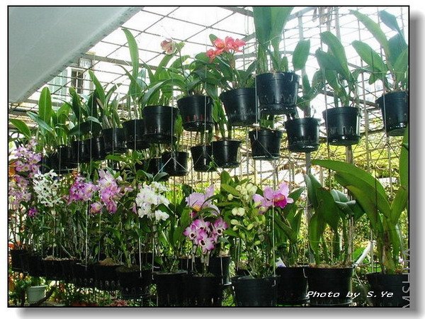 ���ϱߵ�¶�_