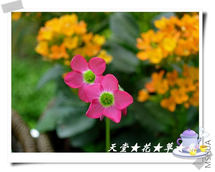 DSCN3438.JPG