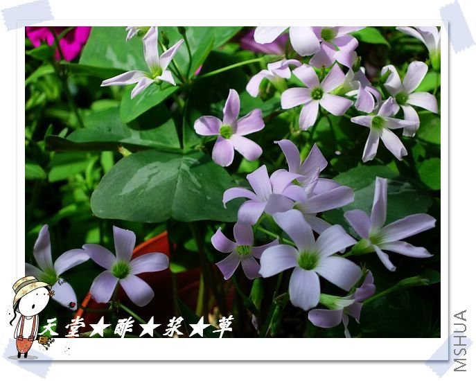 DSCN3707.JPG