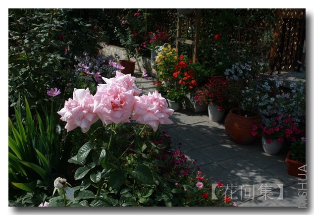 IMG_5601 ����.jpg