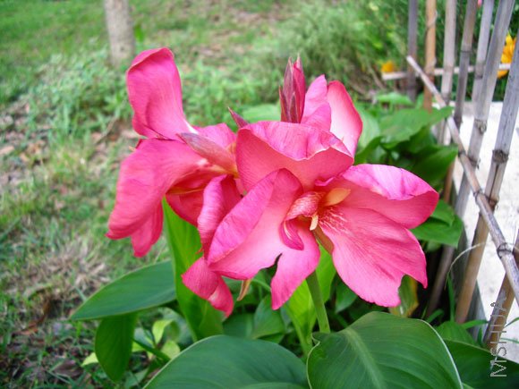 IMGP8622.jpg