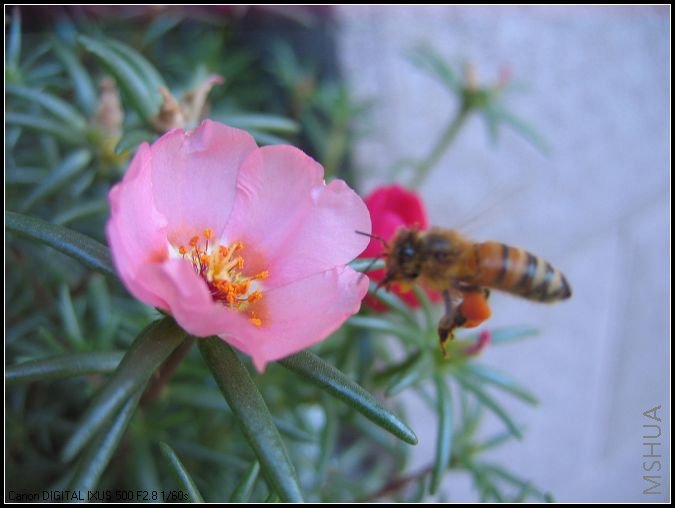 �¼�����̫���� 030.jpg