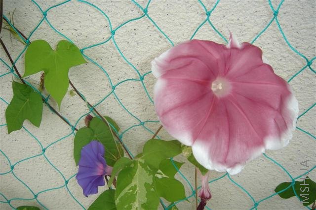 ��Ƭ3 054 (С).jpg