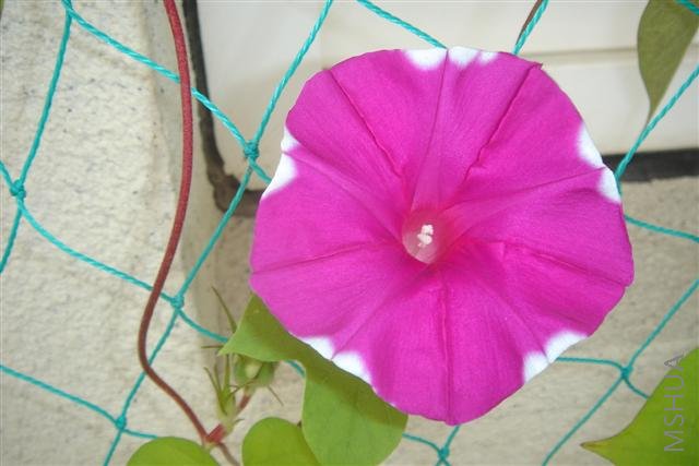 ��Ƭ3 059 (С) (2).jpg