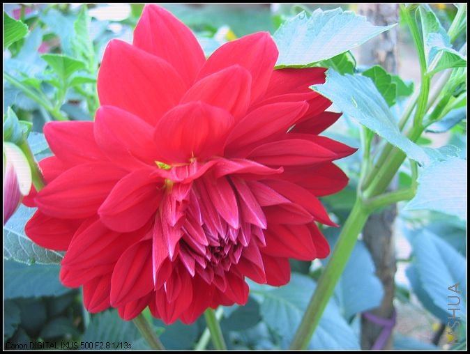 �¼�����̫���� 014_nEO_IMG.jpg