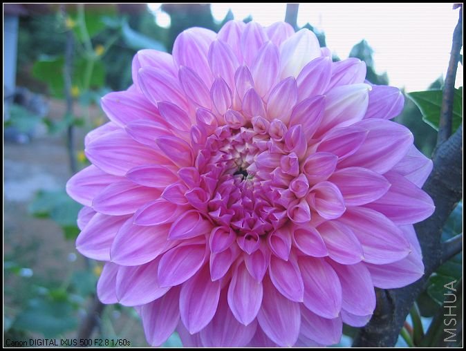 �¼�����̫���� 012_nEO_IMG.jpg