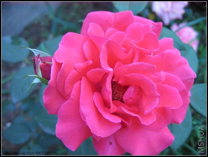 �¼�����̫���� 005_nEO_IMG.jpg