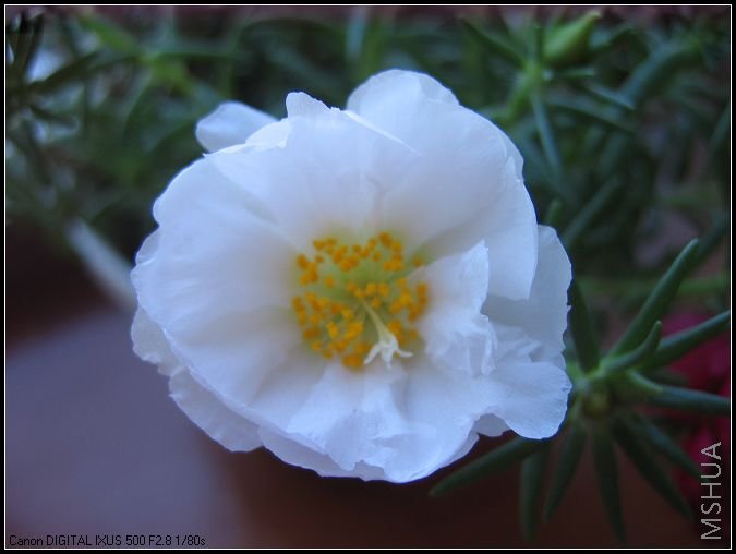 �¼�����̫���� 022.jpg