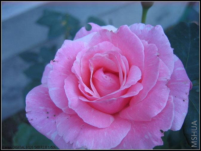 �¼�����̫���� 006_nEO_IMG.jpg