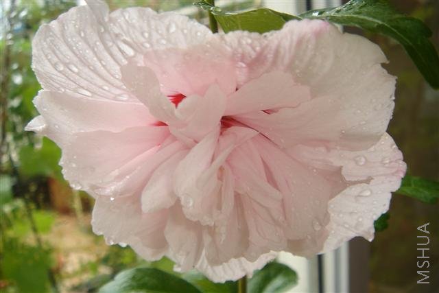 ��Ƭ3 008 (С).jpg