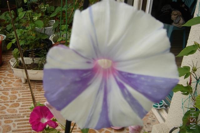 ��Ƭ3 160 (С).jpg