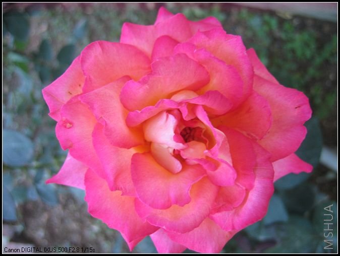 �¼�����̫���� 008_nEO_IMG.jpg