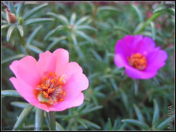 �¼�����̫���� 040.jpg