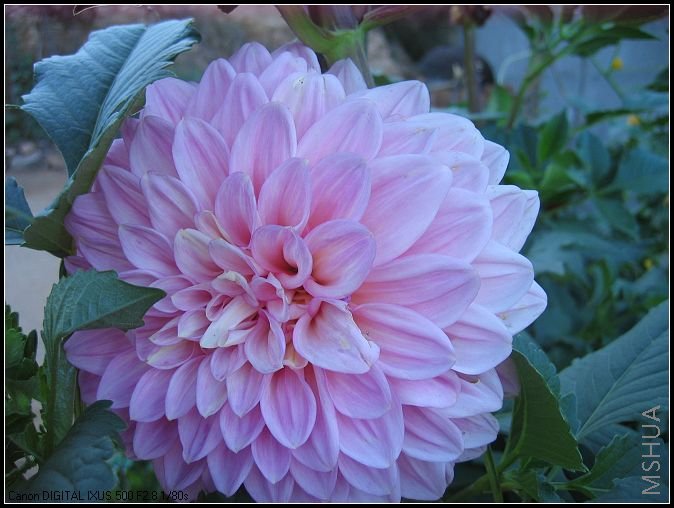 �¼�����̫���� 011_nEO_IMG.jpg