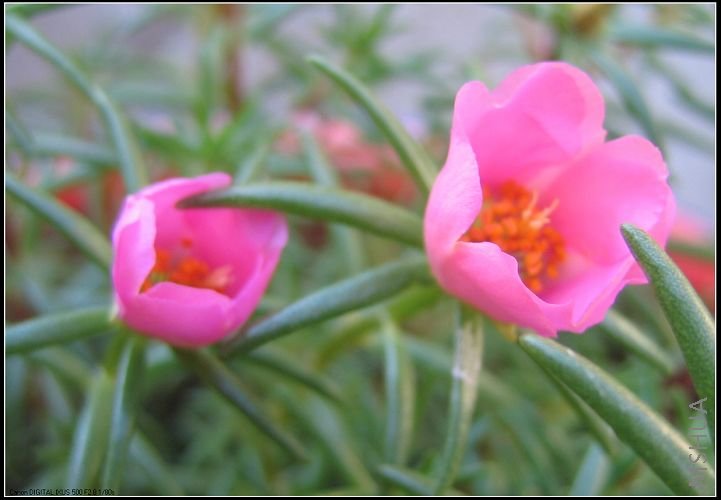 �¼�����̫���� 035.jpg