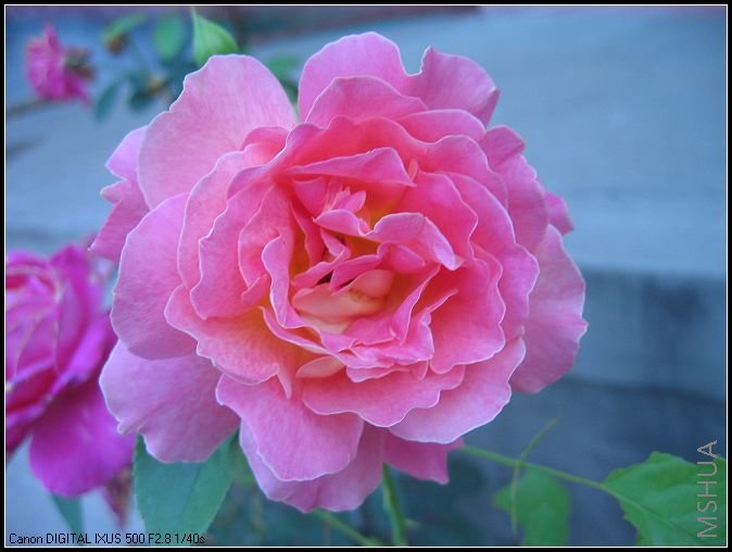 �¼�����̫���� 002_nEO_IMG.jpg