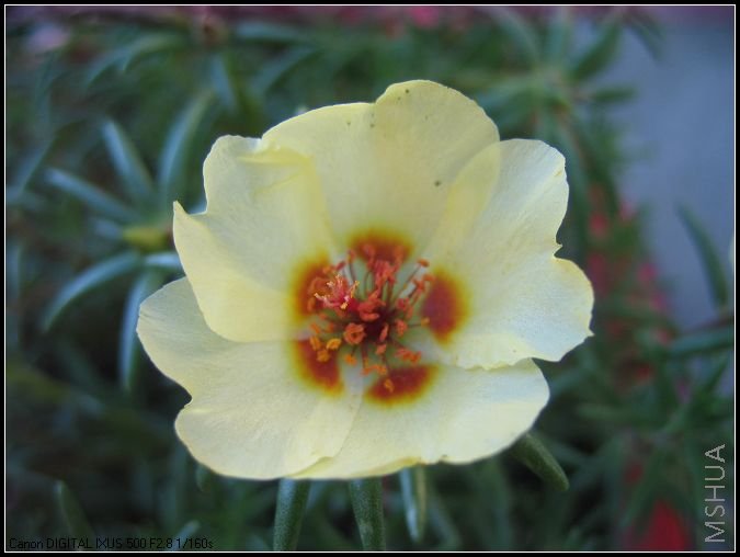 �¼�����̫���� 037.jpg