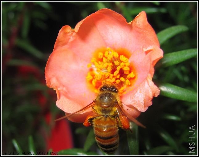 �¼�����̫���� 029.jpg