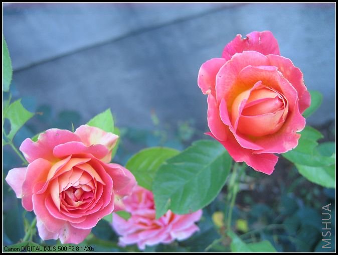 �¼�����̫���� 003_nEO_IMG.jpg