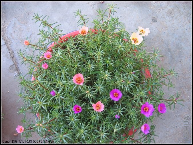 �¼�����̫���� 043.jpg