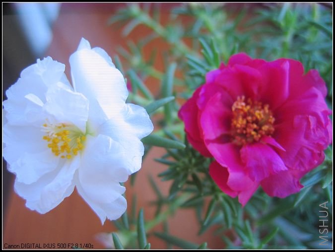 �¼�����̫���� 023.jpg