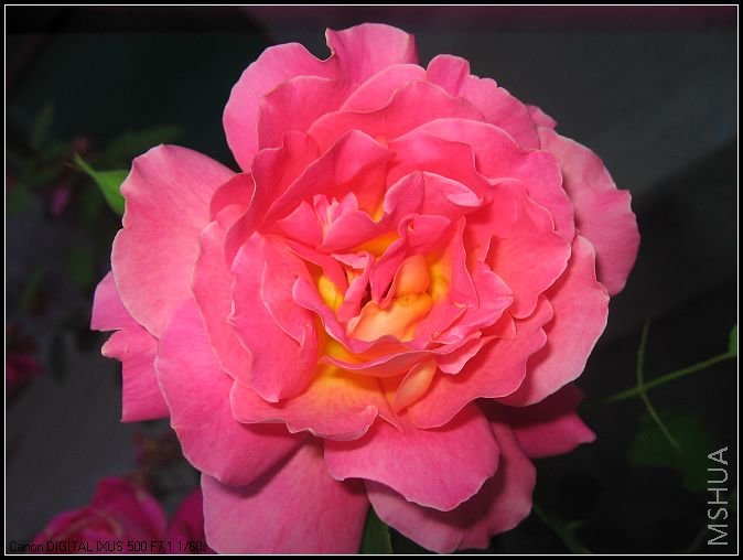 �¼�����̫���� 001_nEO_IMG.jpg