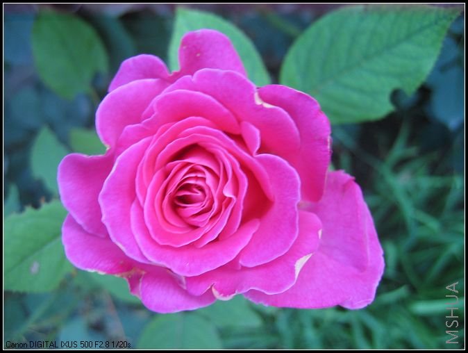 �¼�����̫���� 004_nEO_IMG.jpg