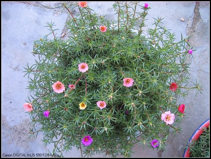 �¼�����̫���� 044.jpg