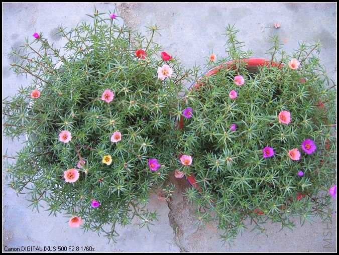 �¼�����̫���� 045.jpg