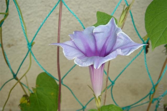 ��Ƭ3 069 (С).jpg