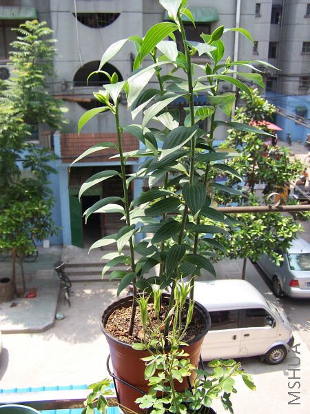 100_5013.JPG