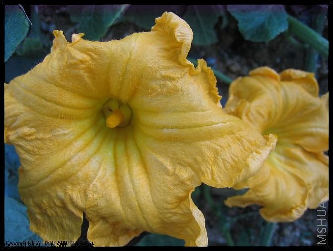 �¼�����̫���� 016_nEO_IMG.jpg