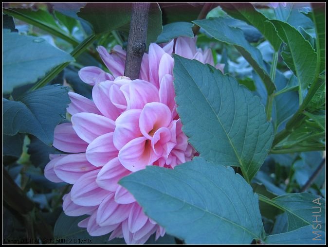 �¼�����̫���� 013_nEO_IMG.jpg