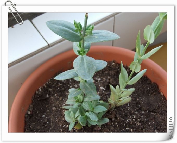 ������С ��08.jpg