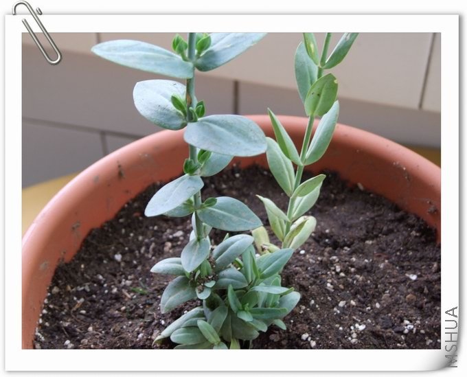 ������С ��04.jpg