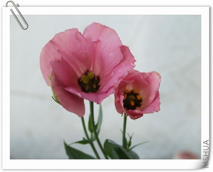 ������С ��02a.jpg