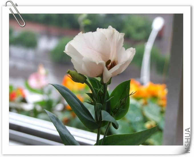 ������С ��03.jpg