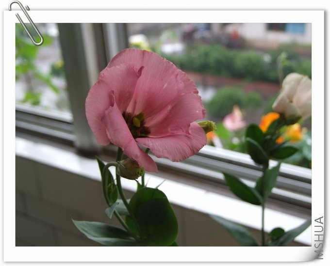 ������С ��02.jpg