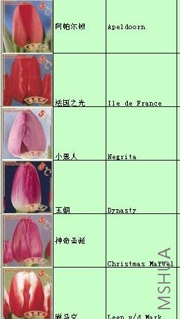 {0A5925E8-16AB-40CE-BCF1-452FE605C44C}.jpg