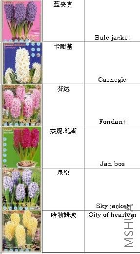 {9AA37E51-92BA-49FF-91C1-65584DFC2823}.jpg