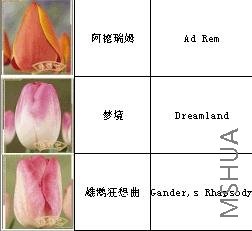 {CAD387C9-114A-452A-9A10-65676FC0684D}.jpg