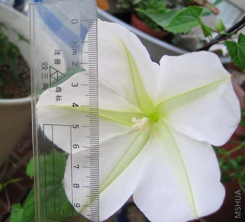 48_47446_ccef9e7f778cd6c.jpg