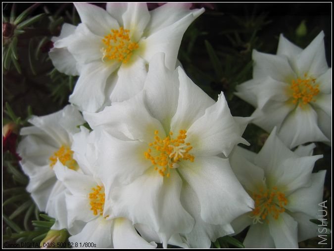 ����7��9�� 016.jpg