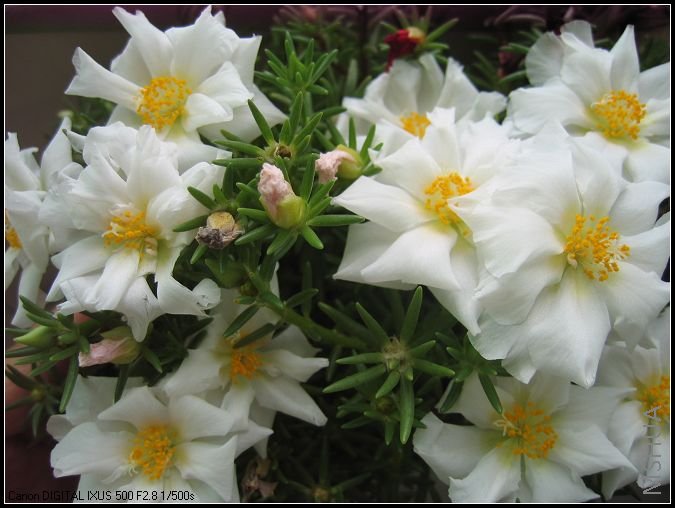 ����7��9�� 015.jpg