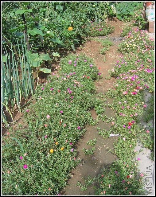 ����7��12�� 044.jpg