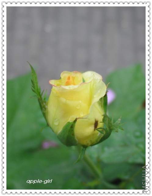 ��Ƭ20080630 003.jpg