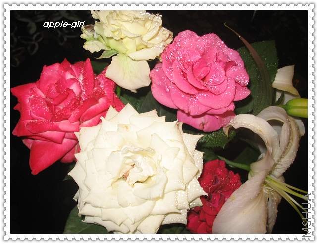 ��Ƭ20080628 013.jpg