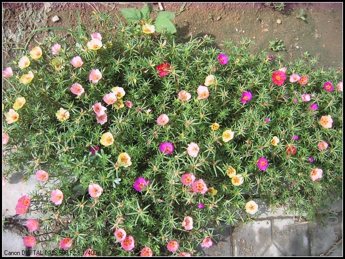 ����7��12�� 042.jpg