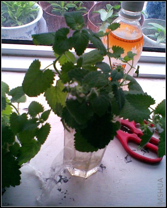 ��紵���˱���...�嵽ˮ��..��������...